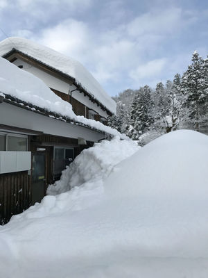 蜀咏悄 2018-02-09 8 25 26.jpg