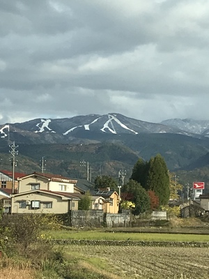 写真 2017-11-17 14 36 47.jpg